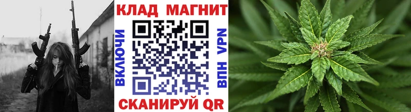 Где купить наркотики Оса Cocaine  Псилоцибиновые грибы  Гашиш  Альфа ПВП 