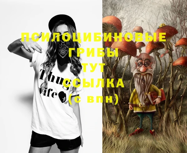 тгк Баксан